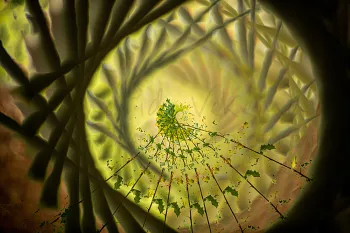 In-camera dark meervoudige belichting DARK van hulst