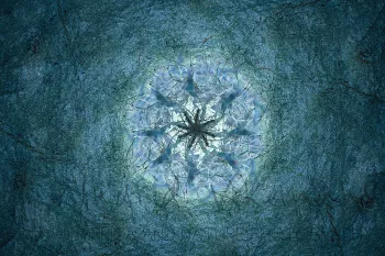 In-camera dark meervoudige belichting DARK van bomen 