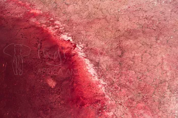 Lake magadi, kleurt rood/roze vanuit vogelperspectief