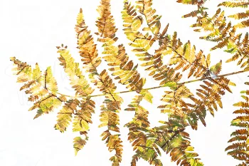 Meervoudige belichting varen 