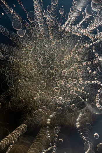 Abstract beeld van druppels van ochtenddauw tegen zwarte achtergrond