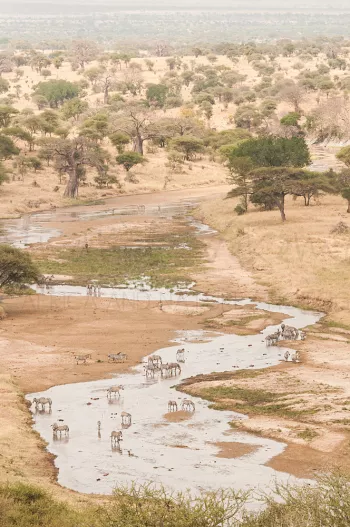 Rivier meandert door droog landschap met hier en daar acacia- en baobabbomen en wild in het water