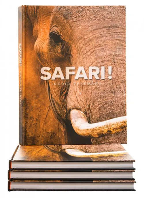Book Safari! - the essence by Ingrid Vekemans