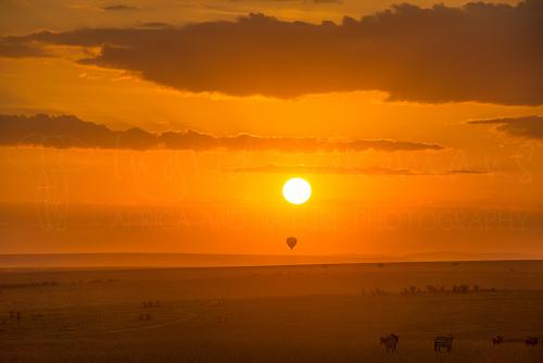 Sunrise over the Masai Mara during Migration and Rift Valley Lakes photo safari