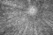 In-camera dark meervoudige belichting DARK van bomen 