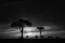 sunrise at masai mara with animals and trees on the horizon